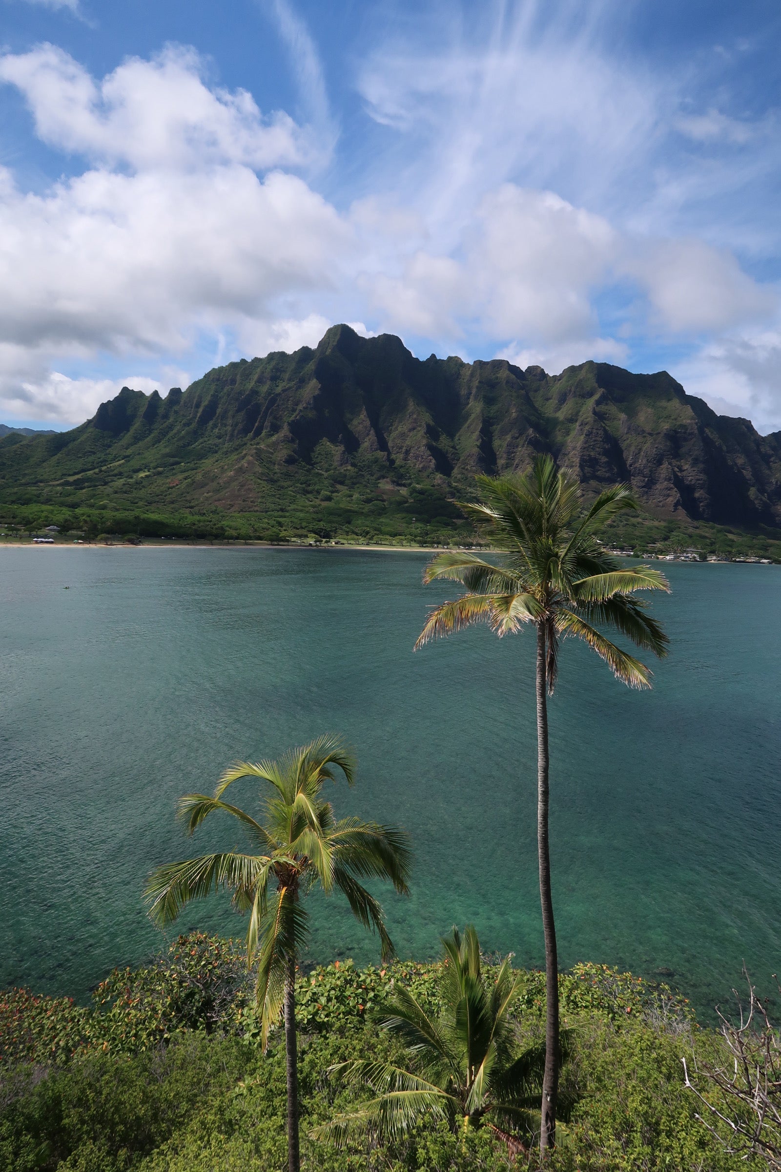 What Are You Really Paying For?