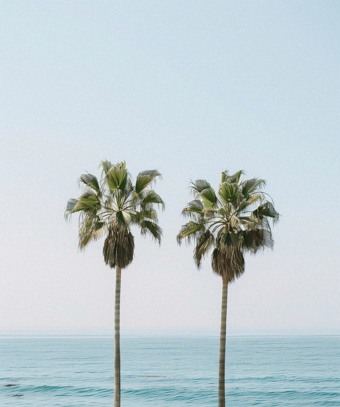 How to Build Real Stability in All 7 Dimensions of Wellness