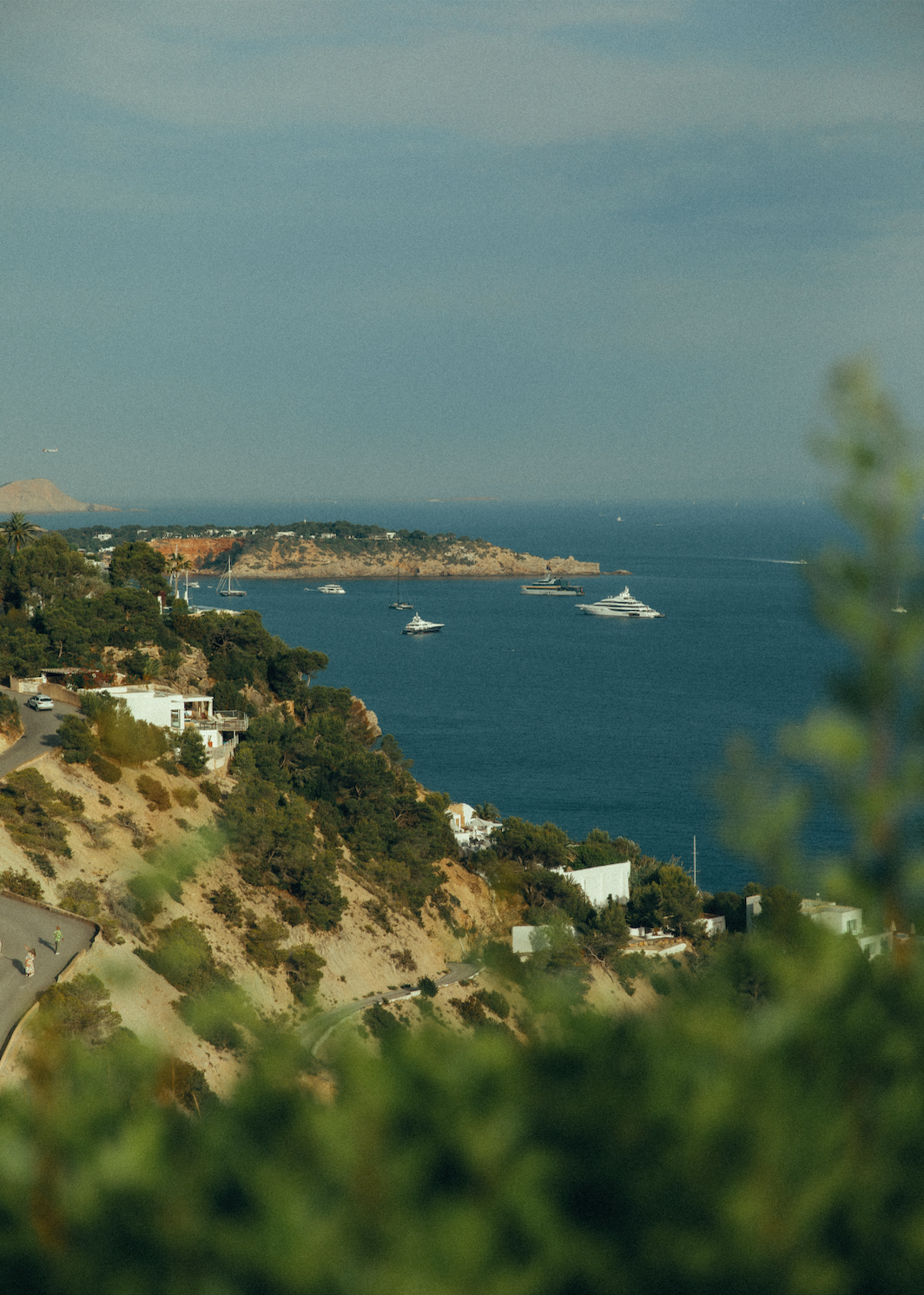 How to Build Real Stability in All 7 Dimensions of Wellness