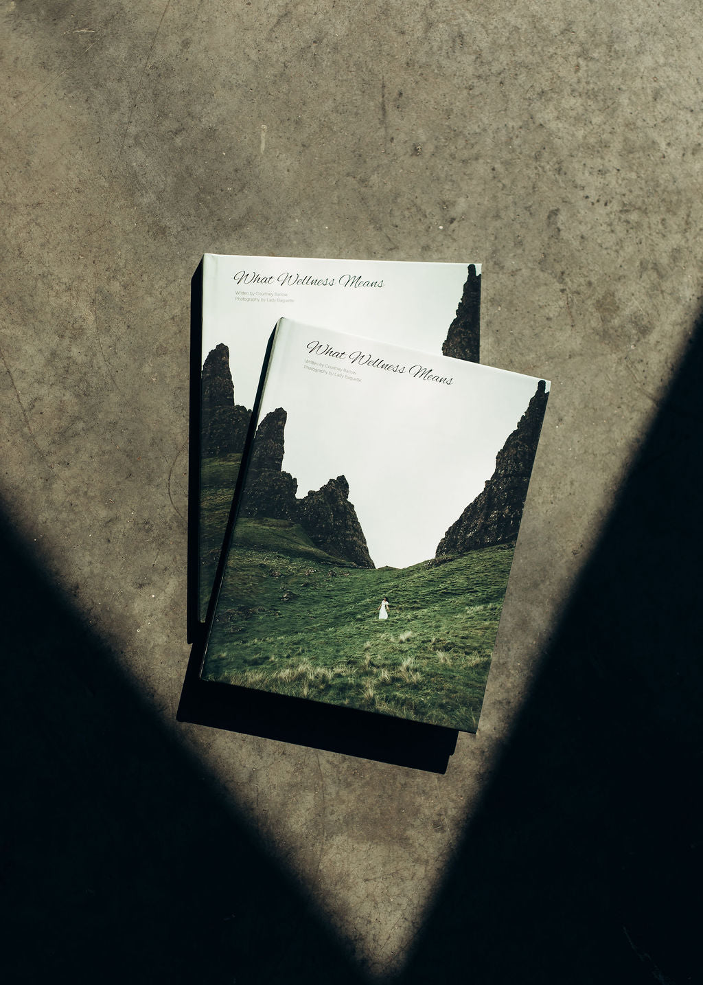 What Wellness Means Book