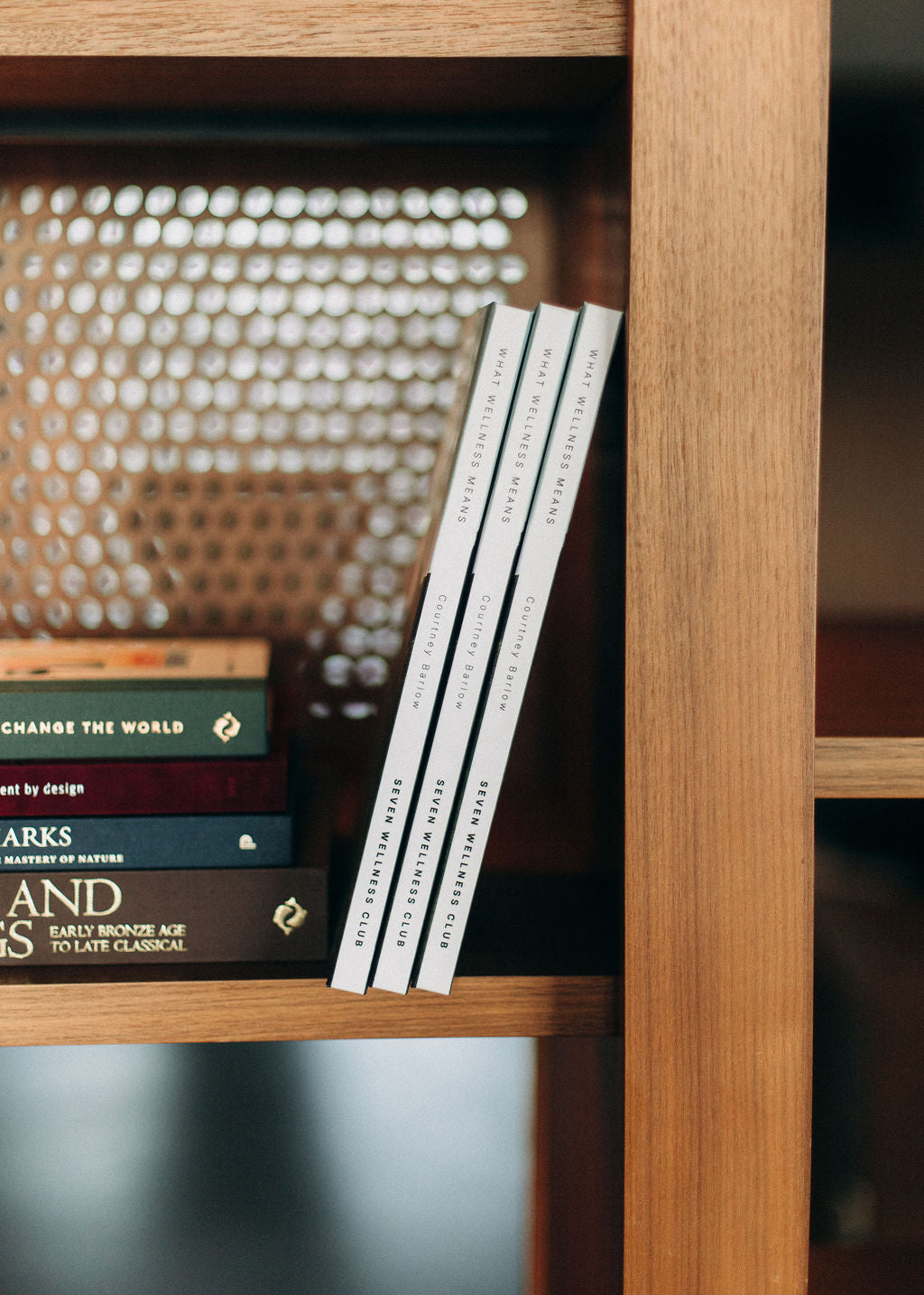 What Wellness Means Book