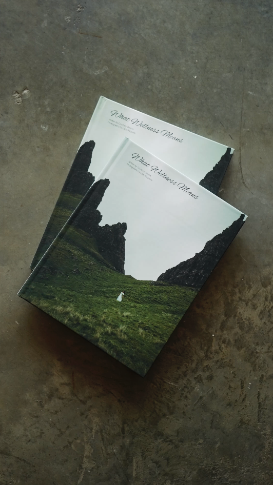 What Wellness Means Book